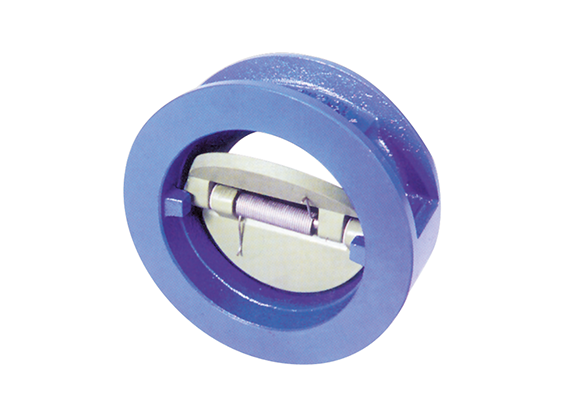 Valves & Flanges